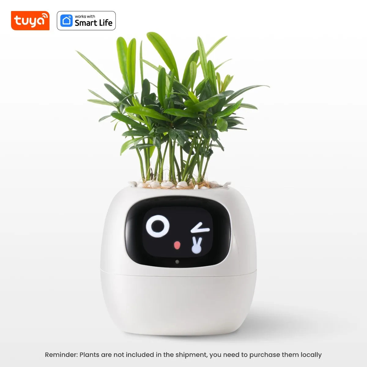 Tuya Ivy Smart Planter – Interactive Pot with 49+ Facial Expressions, 7 Smart Sensors & AI Chip to Make Growing Plants Fun and Easy