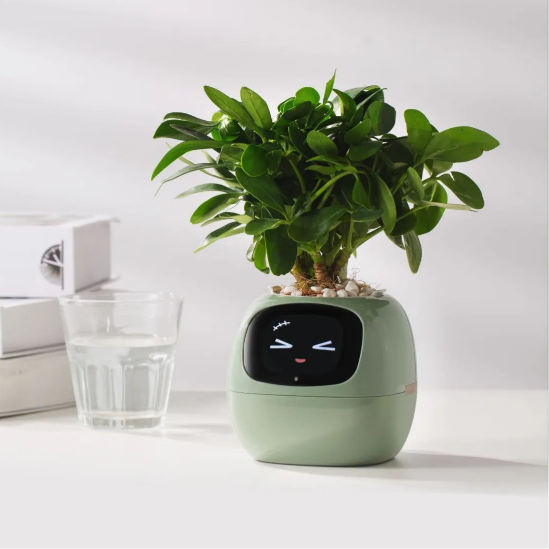 Tuya Ivy Smart Planter – Interactive Pot with 49+ Facial Expressions, 7 Smart Sensors & AI Chip to Make Growing Plants Fun and Easy
