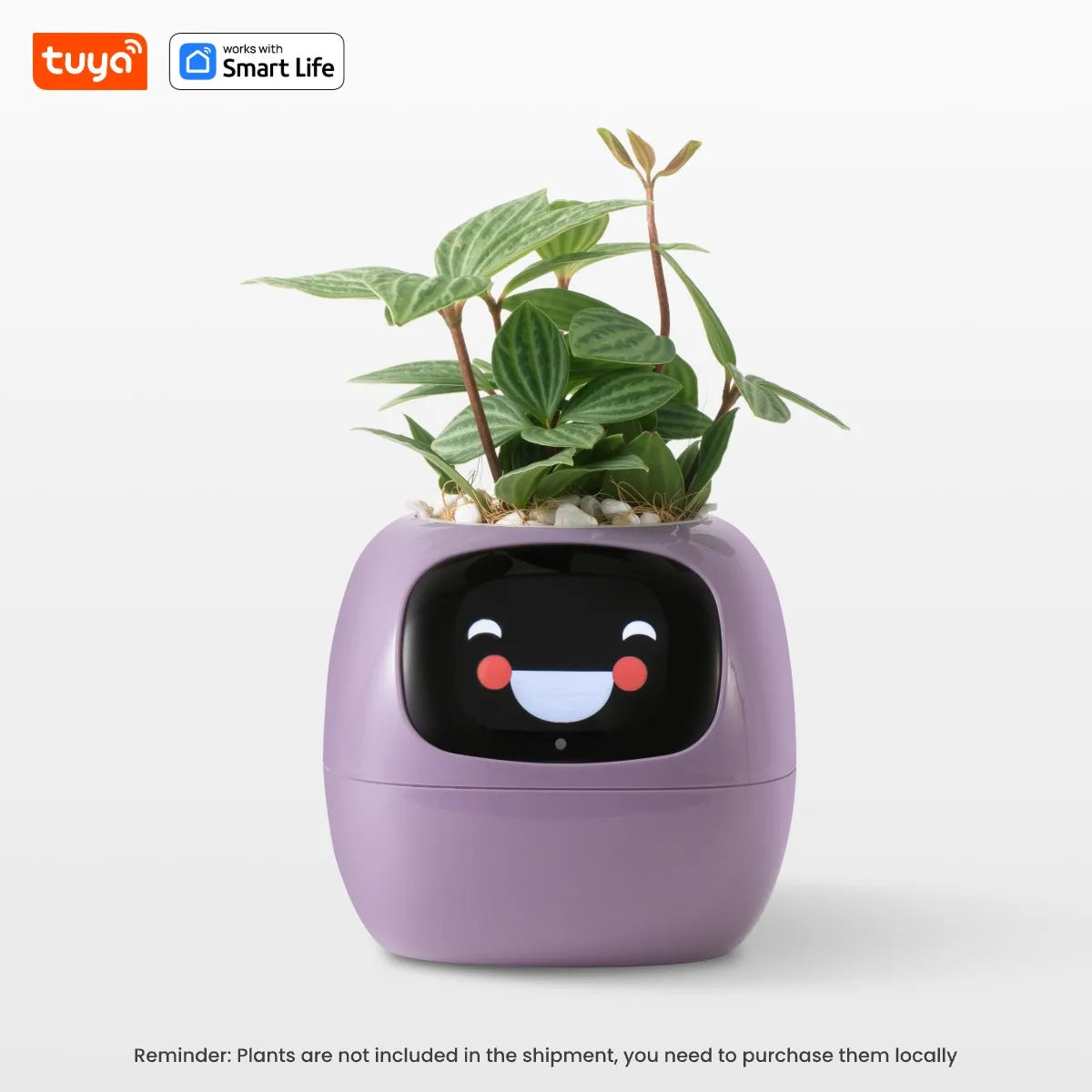 Tuya Ivy Smart Planter – Interactive Pot with 49+ Facial Expressions, 7 Smart Sensors & AI Chip to Make Growing Plants Fun and Easy